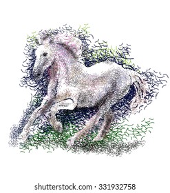 Vector color illustration of a running horse