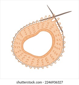 Vector color illustration of sample of knitted pattern on knitting needles