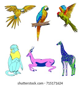 Vector color illustration. Set of animals, parrots, giraffe monkey gazelle