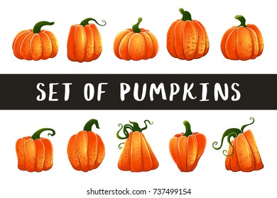 Vector color illustration set of cartoon pumpkin on white background. Object image to create original web games, graphic design