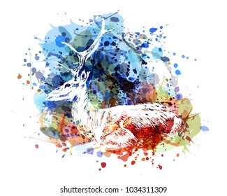 Vector color illustration of sitting deer