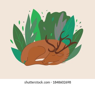 Vector color illustration with a sleeping deer. Suitable for the Internet, advertising, printing