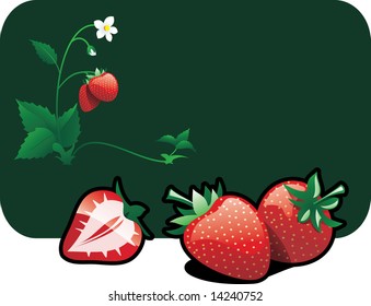 Vector color illustration of a strawberries.