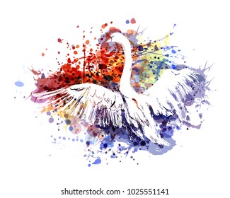 Vector color illustration swan