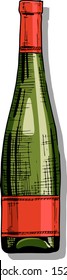 Vector color illustration of wine bottle in ink hand drawn style. isolated on white.