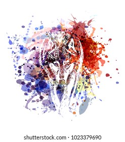 Vector color illustration wolf