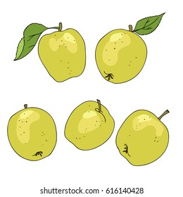vector color illustration of yellow apple fruit