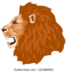 vector color illustration-a portrait of a fiery orange grinning lion with a big mane. side view, profile