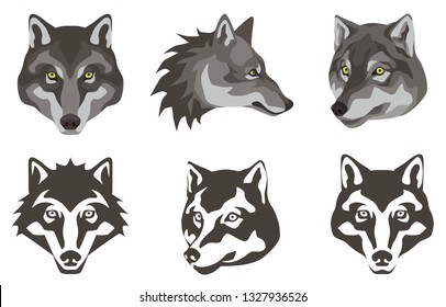 vector color illustrations - a set of portraits of the wolf in different angles and in different stylization techniques