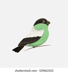 Vector color image of a bird, bird design icon.