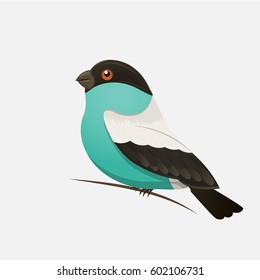 Vector color image of a bird, bird design icon