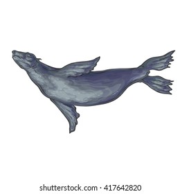 Vector color image isolated marine seal, leopard seal.