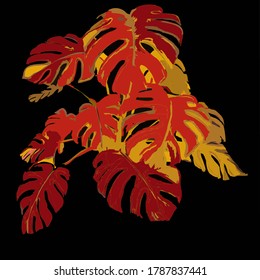 Vector color image of Munster with beautiful cut leaves decorative sketch