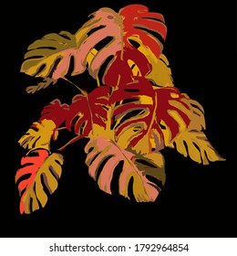 Vector color image of Munster with beautiful cut leaves decorative sketch