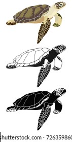 Vector color image of sea turtle and black and white silhouettes isolated on white background.