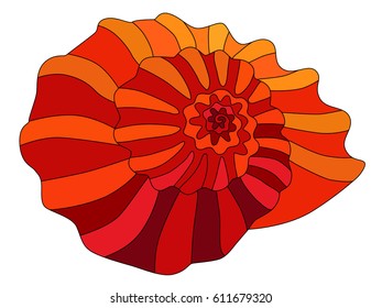 Vector color image of the shell in red-orange tones. Isolated picture with burgundy strokes on a white background.