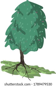 vector color image of a small green tree
