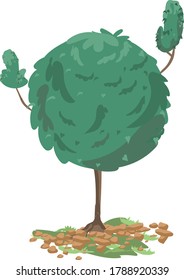 vector color image of a small round tree with two branches