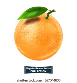 Vector color image of a sprig of orange and leaf