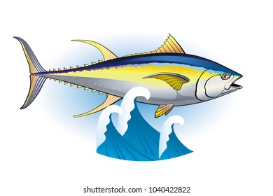 Vector color image of a tuna fish on white background
