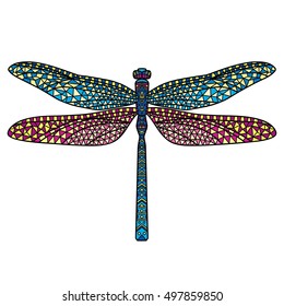 Vector color isolated dragonfly.