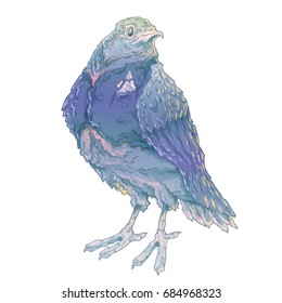 Vector color isolated hand-drawn image of a bird in the style of watercolor. Birds, wings, feathers, feathered, flight, beak, flight, feather, logo, symbol, sign, sticker, for printing.