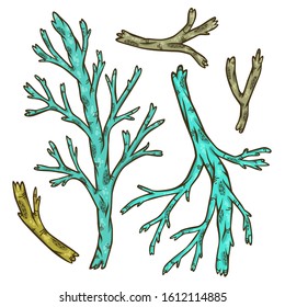 Vector color isolated set of bare tree branches  on white background for decoration in cartoon style