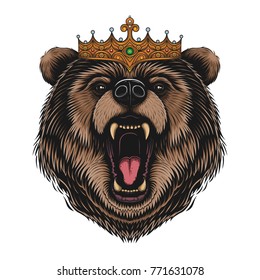 Vector Color King Bear Illustration