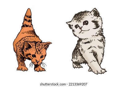 Vector  color kittens,graphical drawing of domestic pets,illustration for design and books