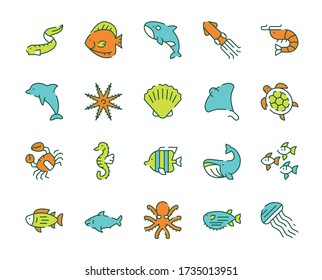 Vector color linear icon set of underwater fish, marine animals. Outline symbol collection of sea life concept. Eel, seahorse, orca, shrimp, dolphin, starfish, whale, shark, squid isolated objects