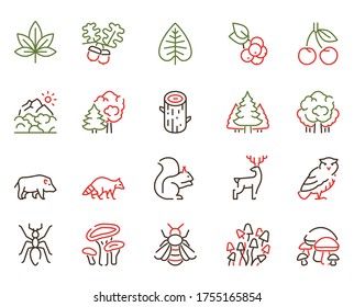 Vector color linear icon set of forest. Outline symbol collection of wildlife animals, nature concept. Trees, mountains, mushrooms, plants, owl, wild boar, raccoon, squirrel and isolated object