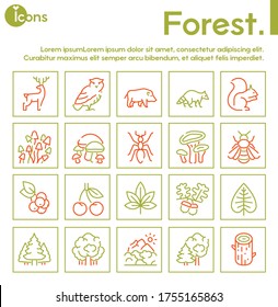 Vector color linear icon set of forest. Outline symbol collection of wildlife animals, nature concept. Trees, mountains, mushrooms, plants, owl, wild boar, raccoon, squirrel and isolated object