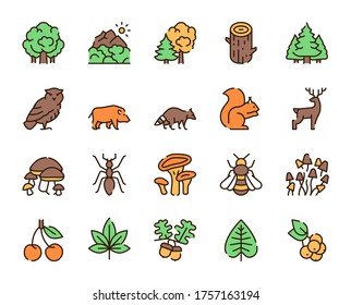 Vector color linear icon set of forest. Outline symbol collection of plants and animals concept. Trees, mountains, owl, wild boar, raccoon, squirrel, mushrooms, acorns, berries and isolated objects