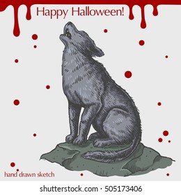 Vector color linear illustration of howling wolf,blood stains,text Happy Halloween on the grey background.Hand drawn sketch of the wild wolf sitting on the stone.Image in vintage style for your design