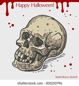 Vector color linear illustration of the human skull,blood stains,text Happy Halloween on the grey background.Hand drawn color sketch of the cranium.Image in vintage style for your design. 