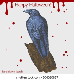 Vector color linear illustration of the raven sitting on the tree,blood stains,text Happy Halloween on the grey background.Hand drawn sketch of the black crow.Image in vintage style for your design.