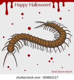 Vector color linear illustration of the scary centipede,blood stains,text Happy Halloween on the grey background.Hand drawn sketch of the centipede.Image in vintage style for your design.