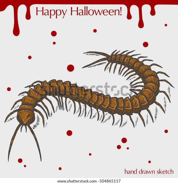 Vector Color Linear Illustration Scary Centipedeblood Stock Vector