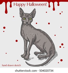 Vector color linear illustration of the skinny cat,blood stains,text Happy Halloween on the grey background.Hand drawn sketch of the sitting sphinx cat.Image in vintage style for your design.