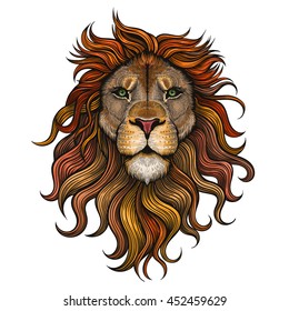 Vector Color Lion Illustration