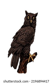 Vector color owl isolated on white background, graphical brown night bird,illustration.Symbol of knowledge 
