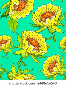 Vector color pattern, background with birds, forget-me-nots, chamomile, peony, calendula, tropical plant, bud.