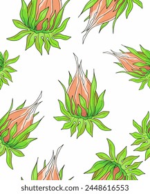 Vector color pattern, background with tropical flowers and plants.