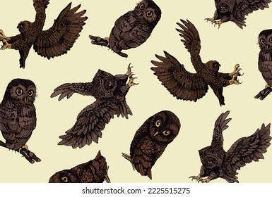 Vector color pattern with owls, stylish birds cover for fabric, postcards, wallpapers,graphical vector illustration. Animals background design	