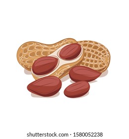 Vector color peanuts in cartoon style