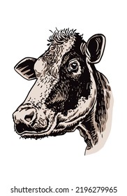 Retrato de color vectorial de vaca aislado en fondo blanco, ilustración dibujada a mano