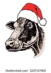 Vector color portrait of  cow in Santa Claus red hat isolated on white background, hand-drawn illustration