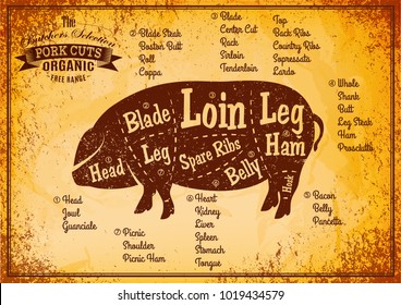 vector color poster with detailed diagram cutting pigs.