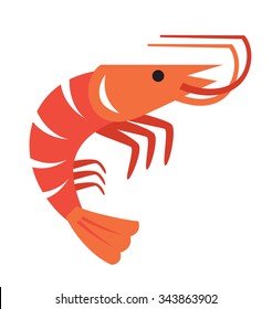 Vector Color Prawn Icon On White Background