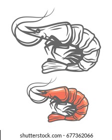 vector color prawn icon on white background